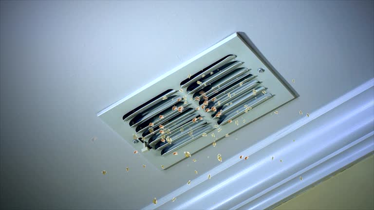 Air Duct Mold Removal in Parchment, MI